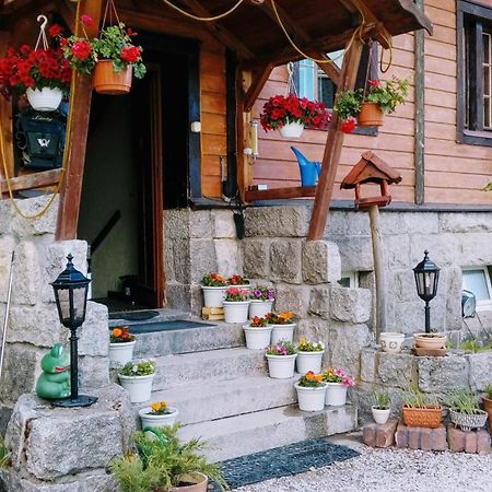 Jas I Malgosia Apartman Szklarska Poręba Kültér fotó